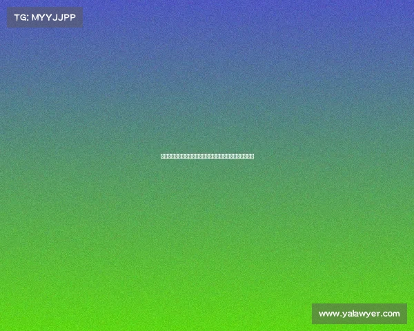 比赛进程图解析与数据展示助力赛事策略决策和团队协作优化